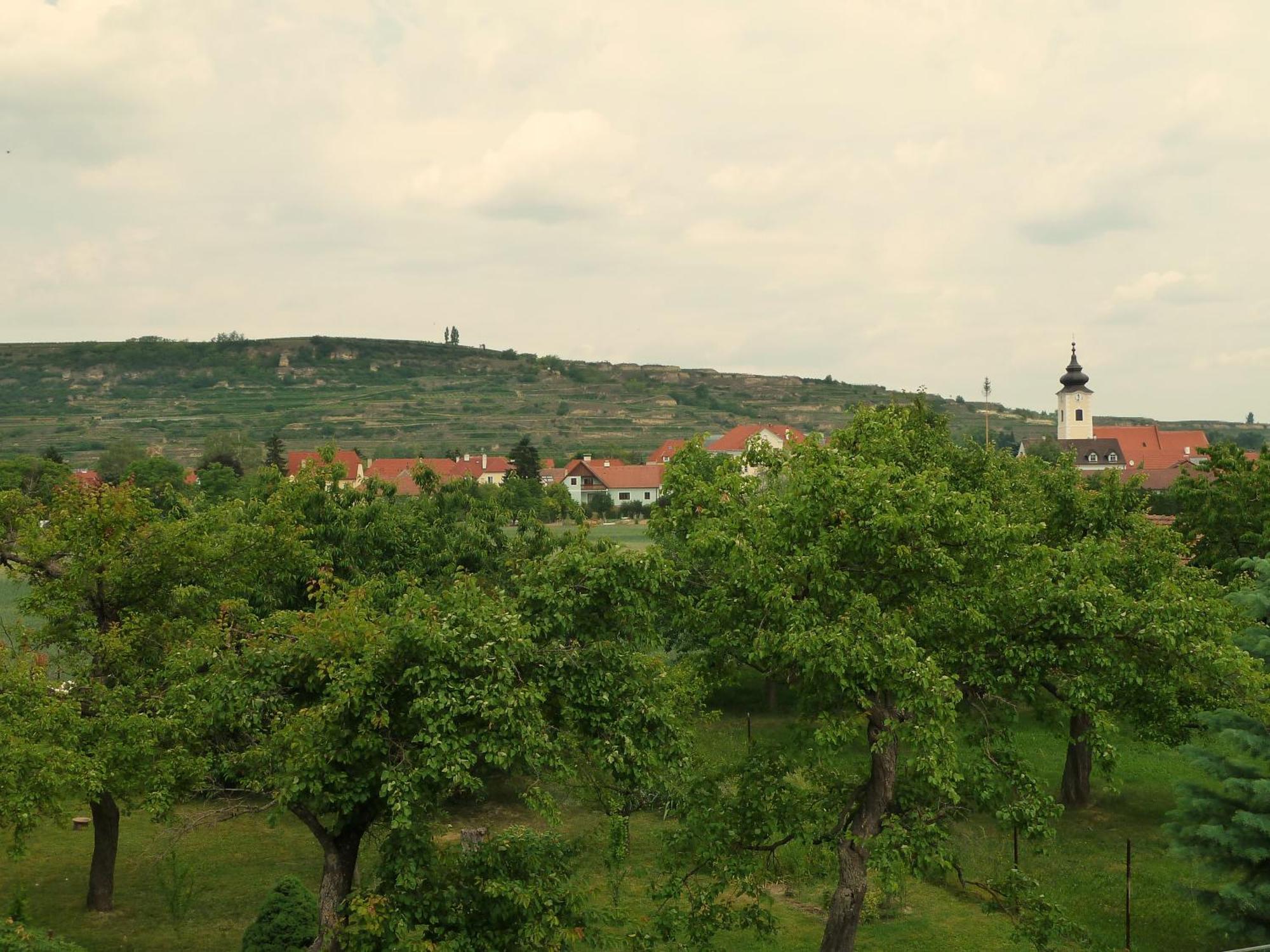 Ferienwohnung Weinbergblick Rohrendorf bei Krems Exterior foto